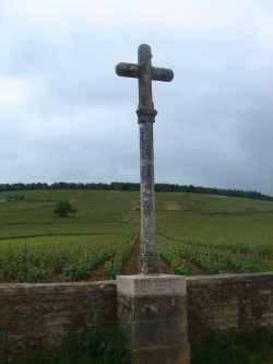 La Romanee Conti
